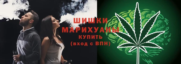 шишки Абинск