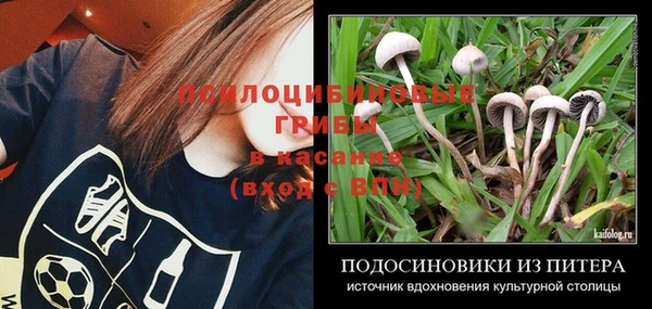 дмт Абдулино